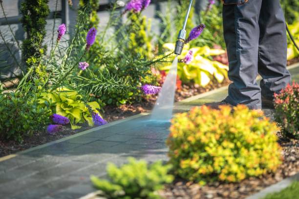 Best Gutter Cleaning  in Stuart, IA